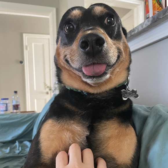 Like/Bundle for EXCLUSIVE offers! - Picture 2 of 3